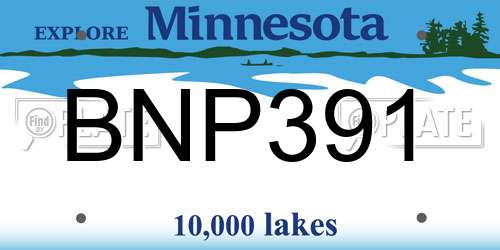 BNP391 Minnesota License Plate