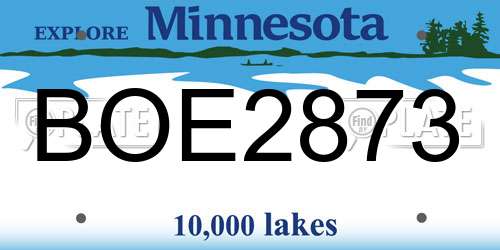 BOE2873 Minnesota License Plate