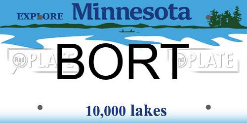 BORT Minnesota License Plate