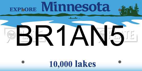 BR1AN5 Minnesota License Plate