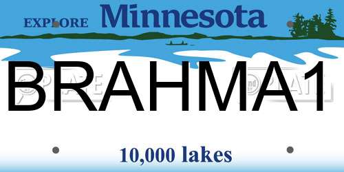 BRAHMA1 Minnesota License Plate