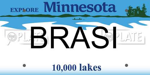 BRASI Minnesota License Plate