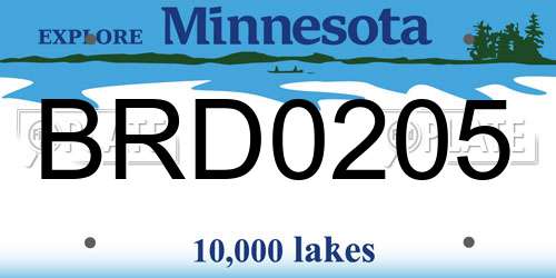 BRD0205 Minnesota License Plate