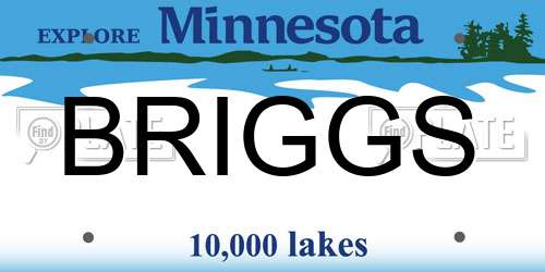 BRIGGS Minnesota License Plate