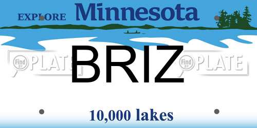 BRIZ Minnesota License Plate