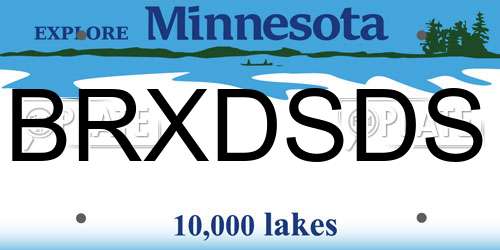 BRXDSDS Minnesota License Plate