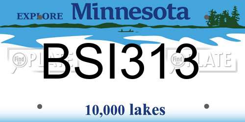 BSI313 Minnesota License Plate