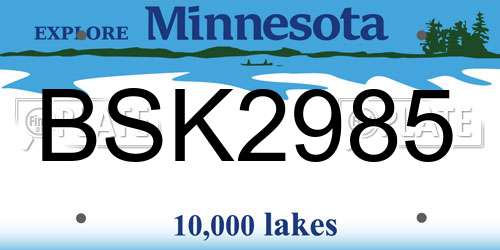 BSK2985 Minnesota License Plate