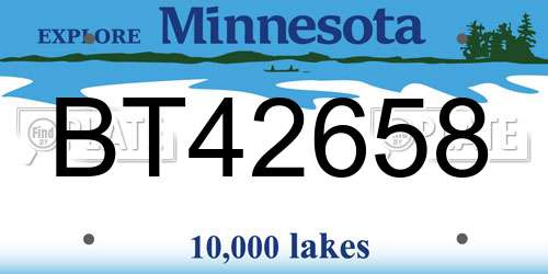 BT42658 Minnesota License Plate