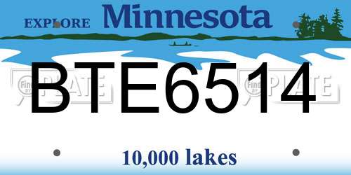 BTE6514 Minnesota License Plate