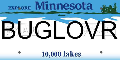 BUGLOVR Minnesota License Plate
