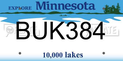BUK384 Minnesota License Plate