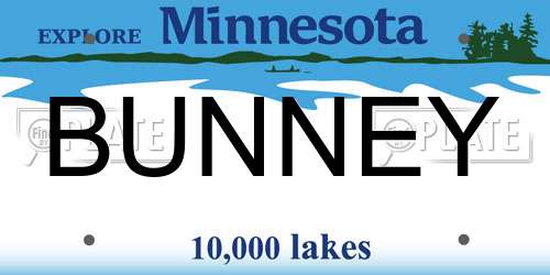 BUNNEY Minnesota License Plate