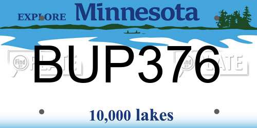 BUP376 Minnesota License Plate