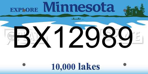BX12989 Minnesota License Plate