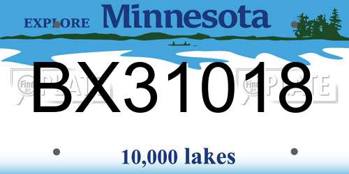 BX31018 Minnesota License Plate