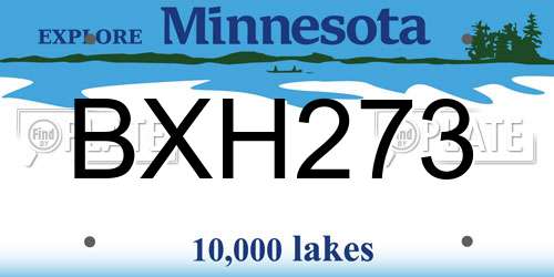 BXH273 Minnesota License Plate
