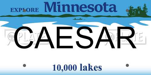 CAESAR Minnesota License Plate