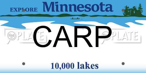 CARP Minnesota License Plate