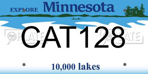 CAT128 Minnesota License Plate