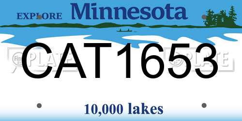 CAT1653 Minnesota License Plate