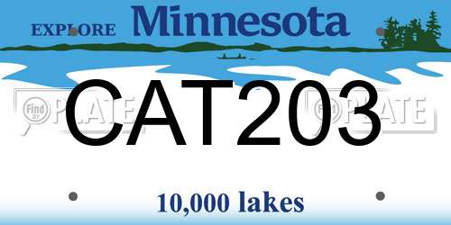 CAT203 Minnesota License Plate