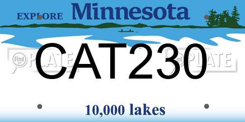 CAT230 Minnesota License Plate