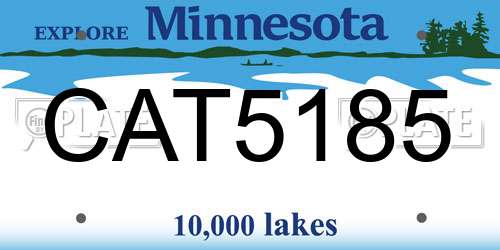 CAT5185 Minnesota License Plate