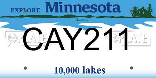 CAY211 Minnesota License Plate