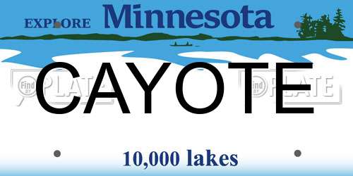 CAYOTE Minnesota License Plate