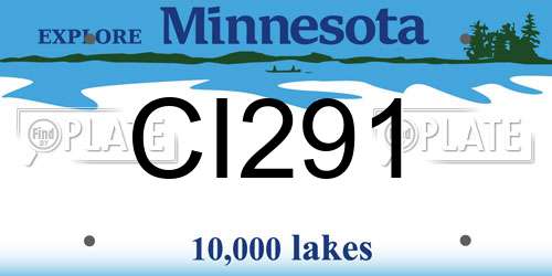 CI291 Minnesota License Plate