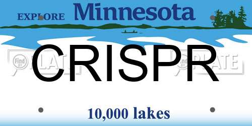 CRISPR Minnesota License Plate