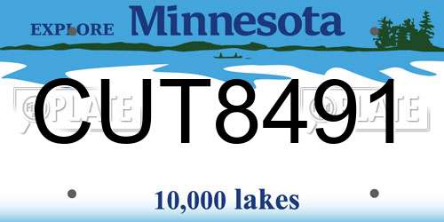 CUT8491 Minnesota License Plate