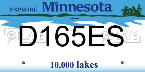 D165ES Minnesota License Plate