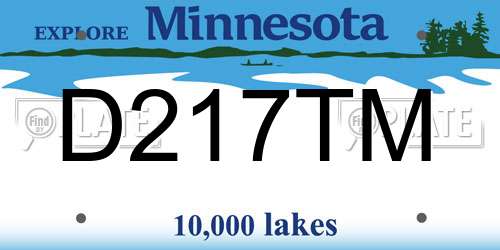 D217TM Minnesota License Plate