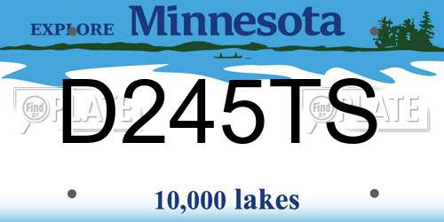 D245TS Minnesota License Plate
