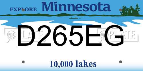 D265EG Minnesota License Plate