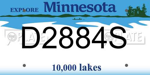 D2884S Minnesota License Plate