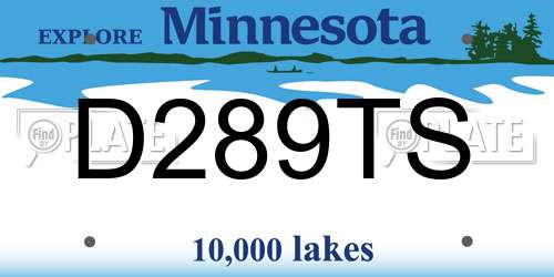 D289TS Minnesota License Plate