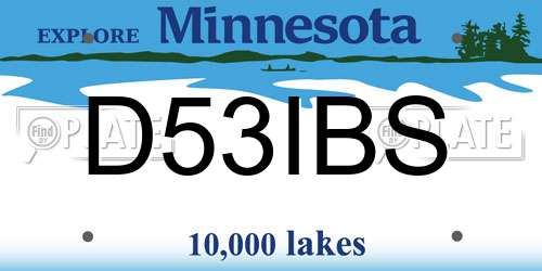 D53IBS Minnesota License Plate