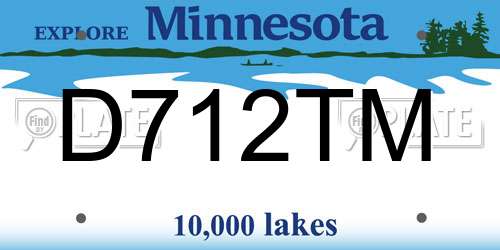 D712TM Minnesota License Plate