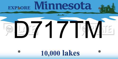 D717TM Minnesota License Plate