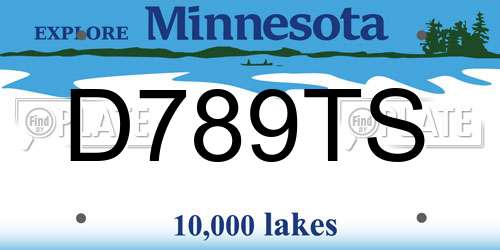 D789TS Minnesota License Plate