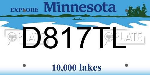 D817TL Minnesota License Plate