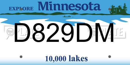 D829DM Minnesota License Plate