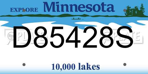 D85428S Minnesota License Plate