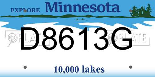 D8613G Minnesota License Plate