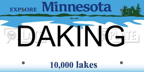 DAKING Minnesota License Plate