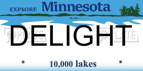 DELIGHT Minnesota License Plate
