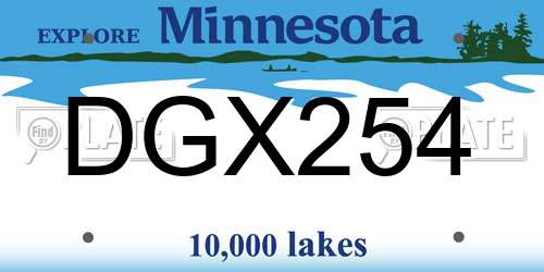 DGX254 Minnesota License Plate